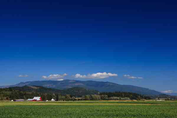 A large field in front of a farm in Washington, with a hill in the distance