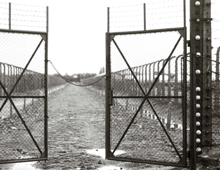 Auschwitz, Pologne