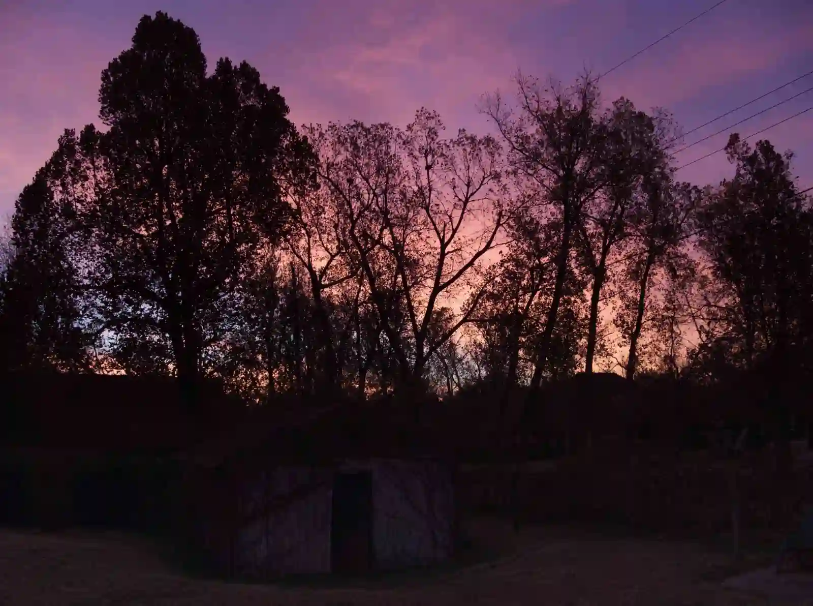 A silhouette of trees in front of a slightly cloudy sunset view