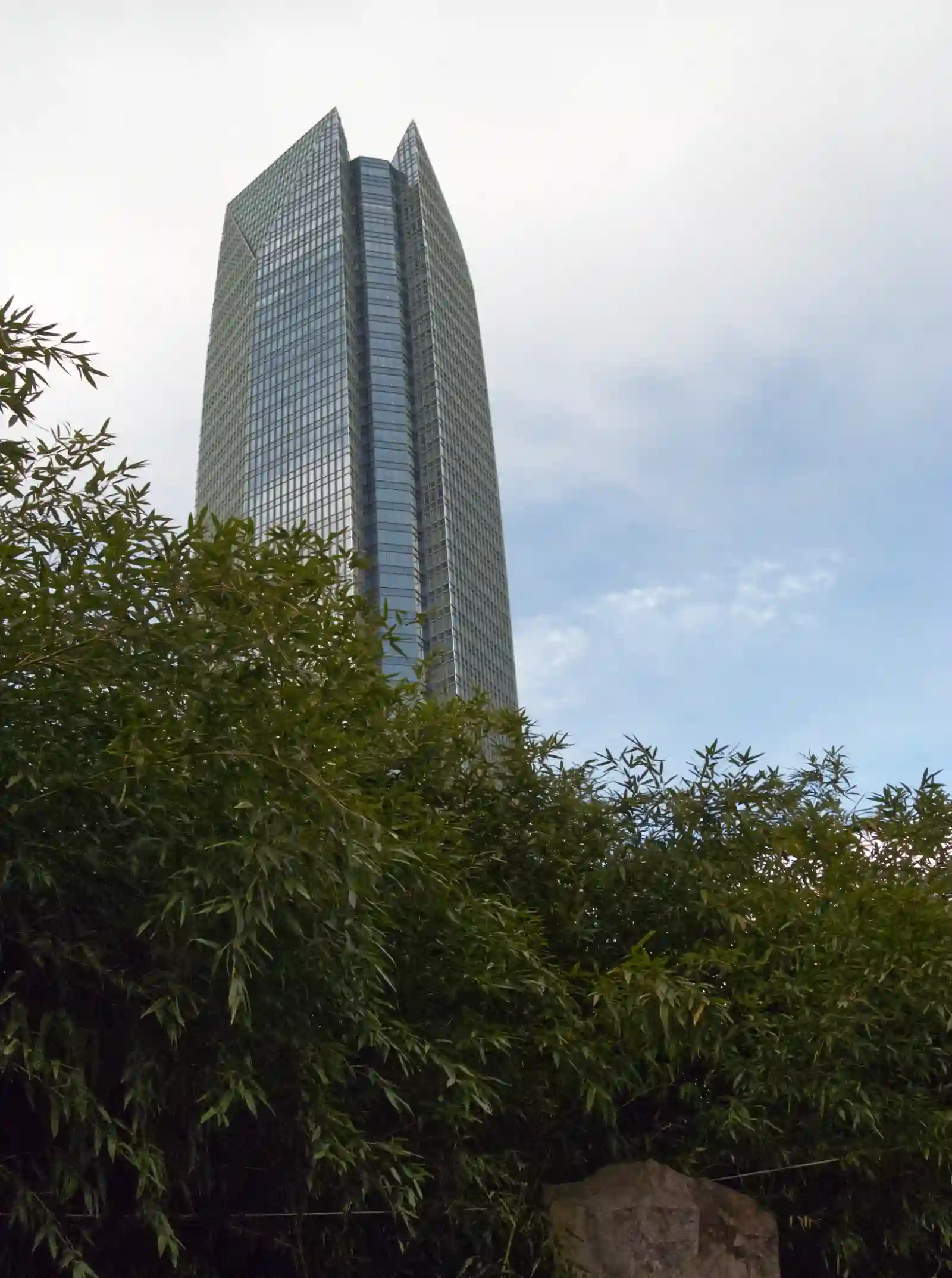 The Devon Energy Center building juts out behind bamboo leaves, taken inside a small garden in the Myriad Botanical Gardens children’s area